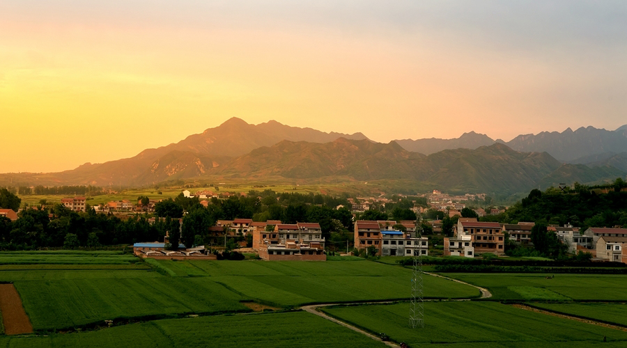 1761804008541468.jpg 1.jpg